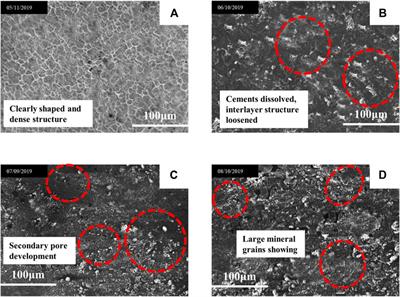 Uniaxial Compression Damage Mechanical Properties and Mechanisms of Dolomite Under Deep High-Humidity Condition